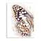 Stupell Industries Close Up Butterfly Patterned Wing Paint Splatter Wall Plaque